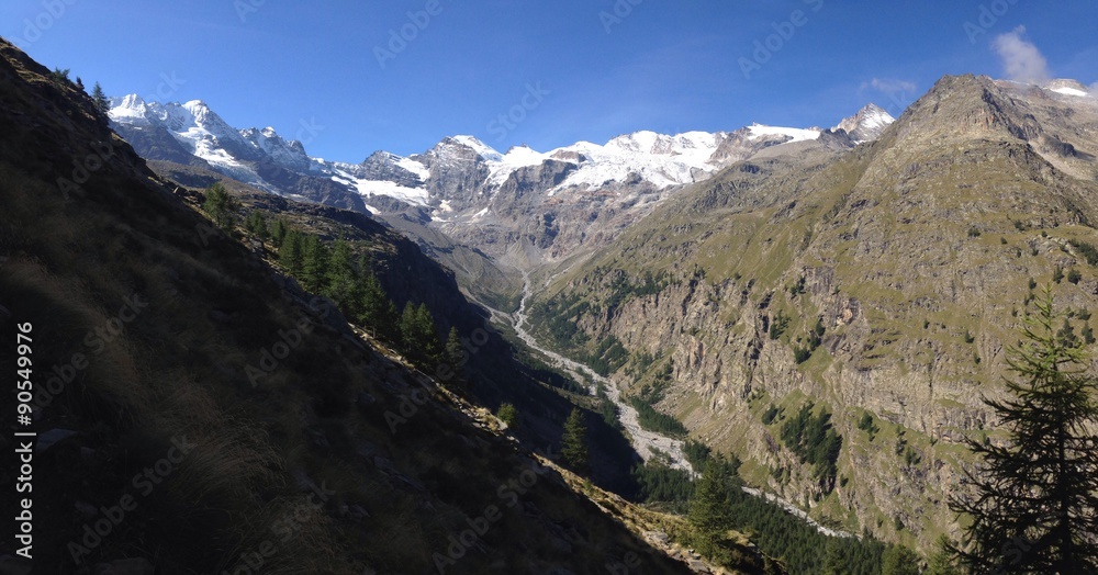 Fototapeta premium Parco Nazionale Gran Paradiso