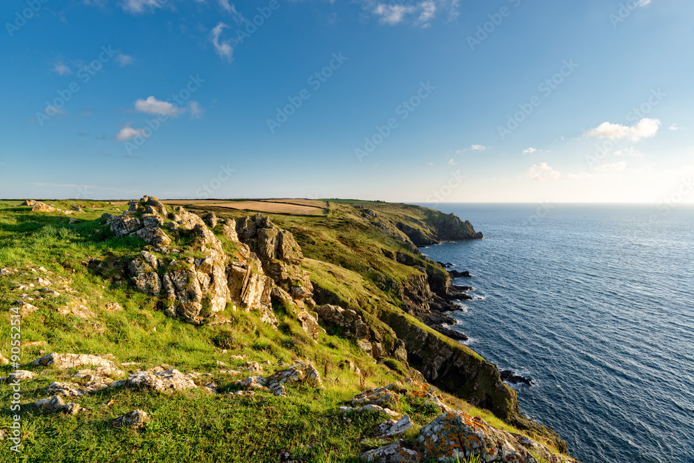 Clifftops above Mullion Cove