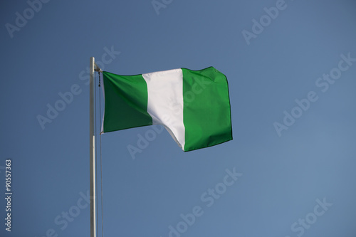 Nigerian flag in the wind photo