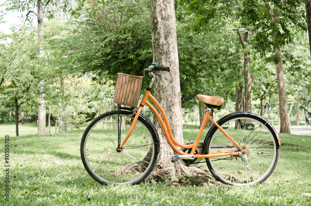 bicycle in green park