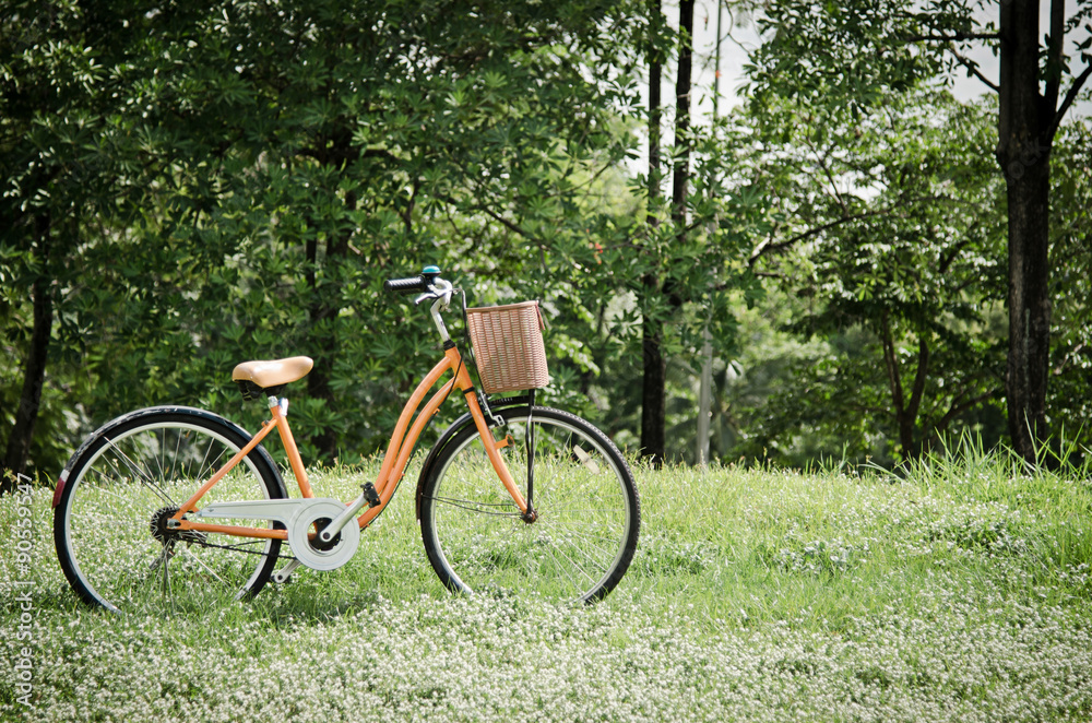 Fototapeta premium bicycle in green park
