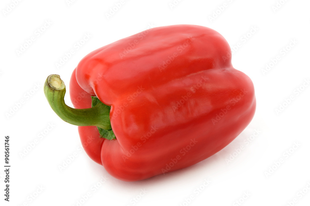 Paprika rot Paprika rot