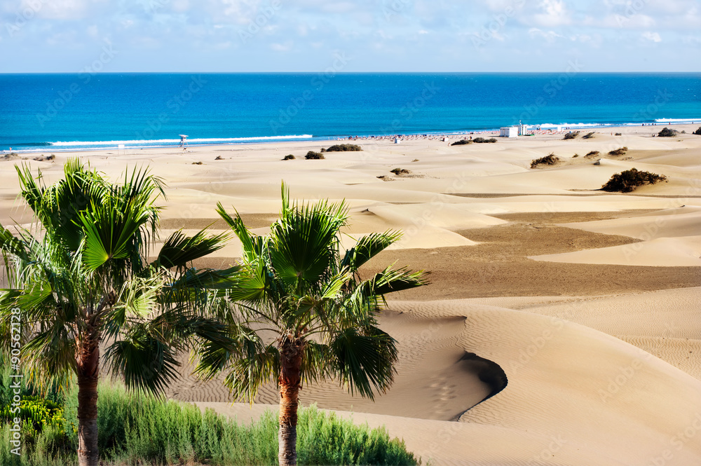 Sand dunes of Maspalomas. Gran Canaria. Canary Islands.