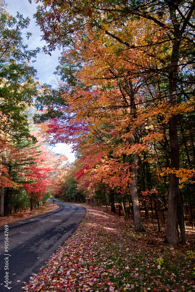 Fall Roadway