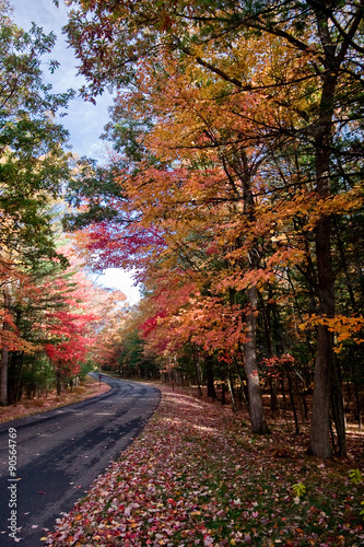 Fall Roadway