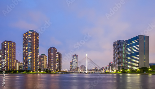 Panorama view of waterfront Tokyo city at twilight