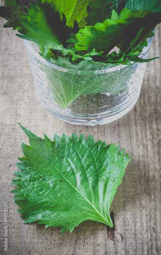 Organic green perilla on wooden table background photo