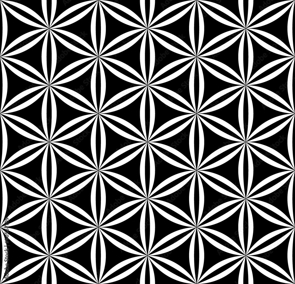 Vector modern seamless pattern sacred geometry ,black and white textile print,stylish background, abstract texture, monochrome fashion design, bed sheets or pillow pattern Vector modern seamless pattern sacred geometry ,black and white textile print,stylish background, abstract texture, monochrome fashion design, bed sheets or pillow pattern