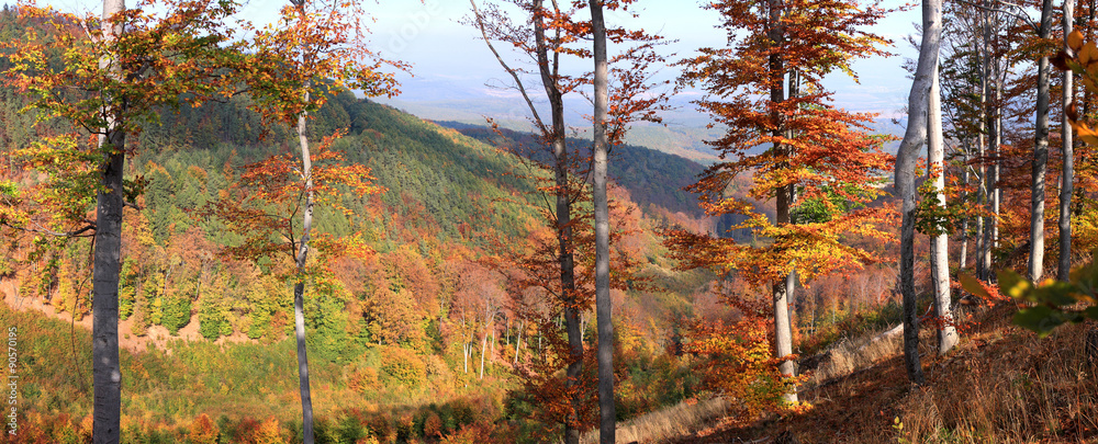 Fototapeta premium The mountain autumn landscape.