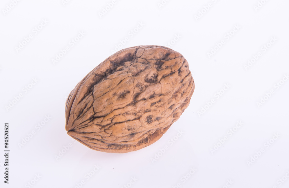 nut. walnut on the background nut. walnut on the background