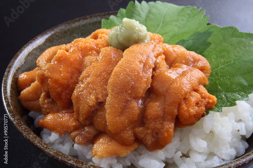 Fotografie うに丼　海鮮丼