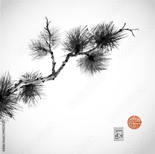 Pine tree branch hand-drawn with ink 