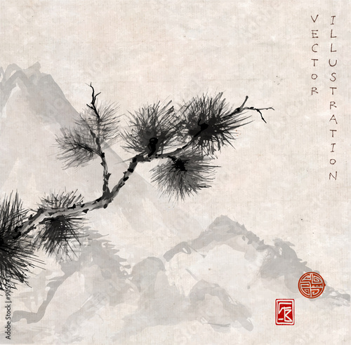 Pine tree branch and mountains