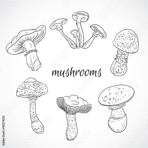 Set with a variety of vintage mushrooms. Collection of retro black and white hand drawn vector illustration. Card, print, postcard, poster.