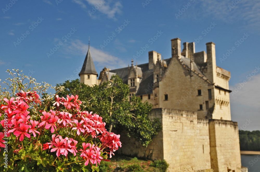 il castello di  Montsoreau - Loira, Francia