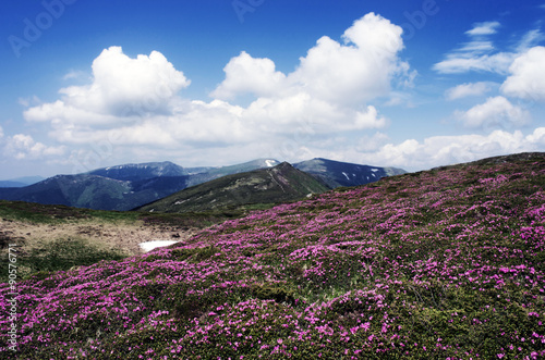 evening mountain plateau landscape with rainbow(Carpathian, Ukra © Dolnikov