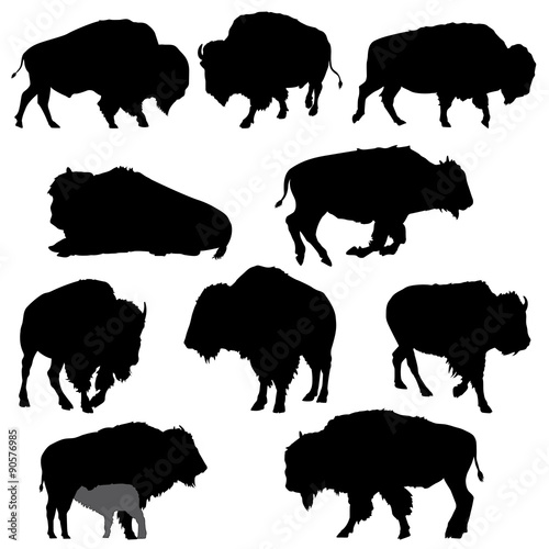 Set of American Bison Silhouettes- Vector Image