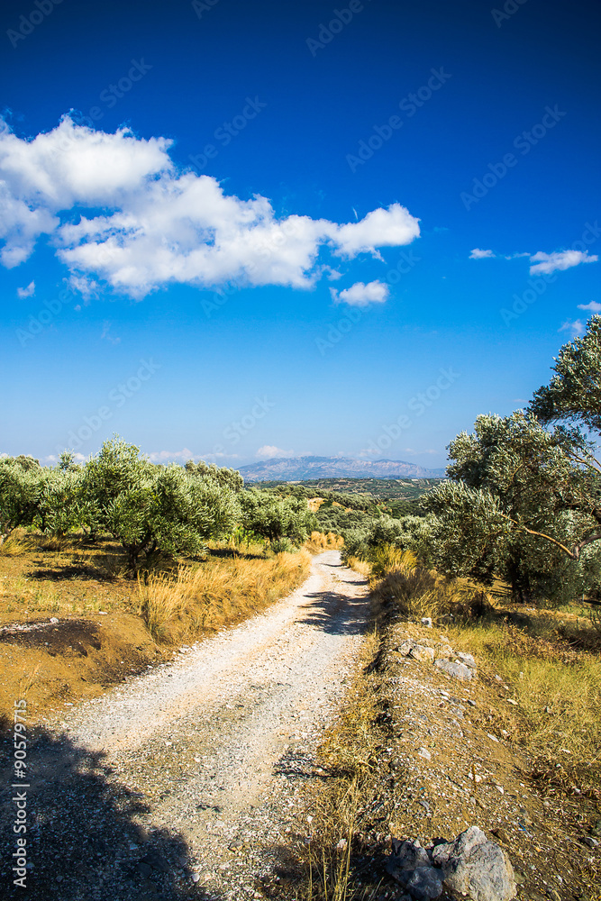 Curvy mountain road in Mediterranean mountains