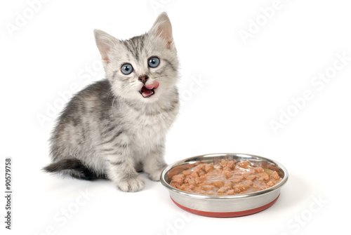 Fototapeta Naklejka Na Ścianę i Meble -  Gray kitten licks lips near a bowl with food. 