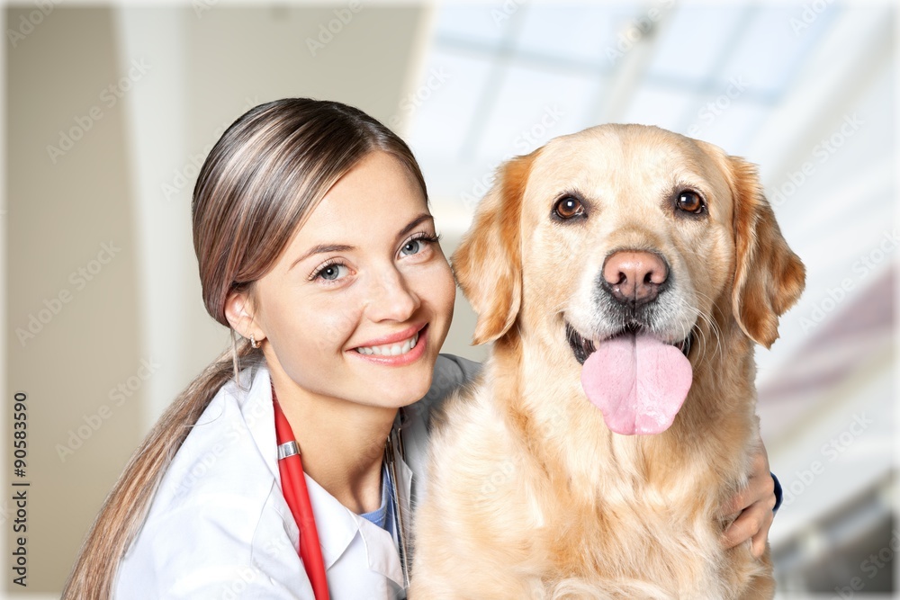Veterinarian with dog.