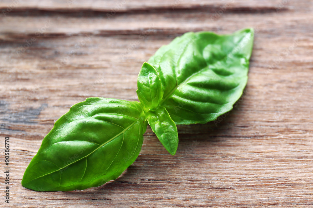 Green fresh basil on wooden background Green fresh basil on wooden background