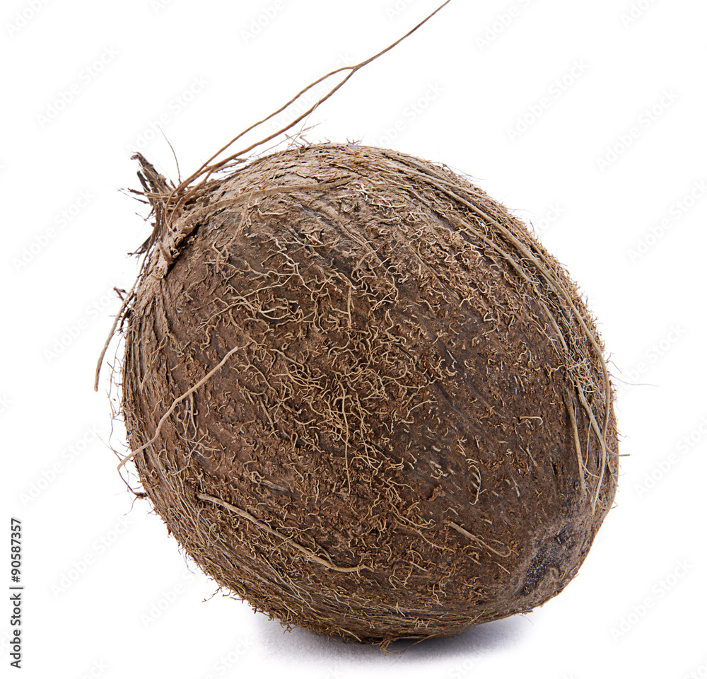 Coconut isolated on white background. Coconut isolated on white background.