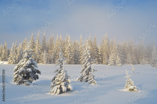 Christmas landscape © Oleksandr Kotenko