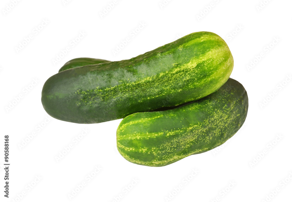 Fresh green cucumber gherkin, isolated on a white background Fresh green cucumber gherkin, isolated on a white background