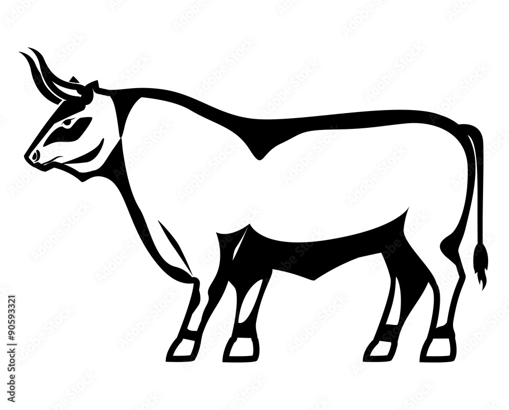 Fototapeta premium Bull design