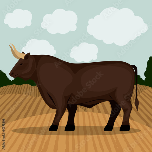 Bull design