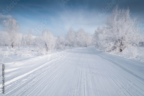 Winter landscape with snowed up road © Mikhail M.