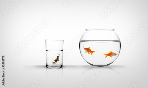 Racism in Excellence  