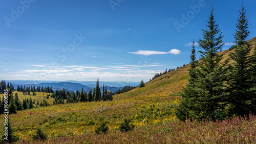 Hiking through the high alpine meadows on the way to the top of Tod Mountain in the Shuswap Highlands in central British Columbia
