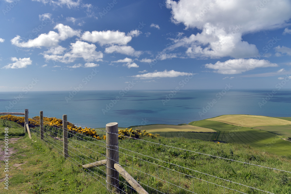 View from summit of Swyre Head, Dorset