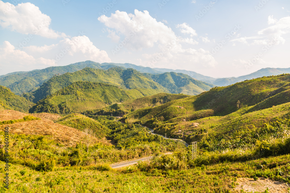 Decimated deforestation mountains Decimated deforestation mountains