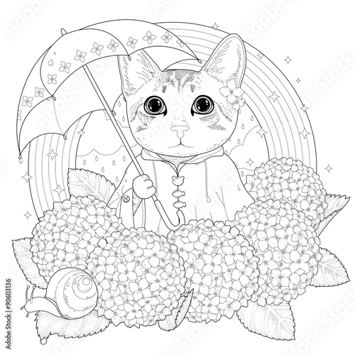 Photography adorable kitty coloring page