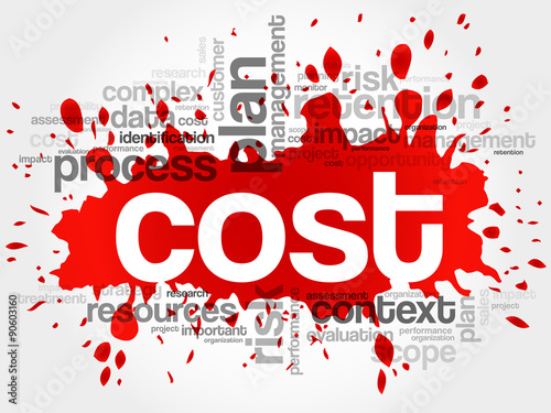 COST word cloud, business concept