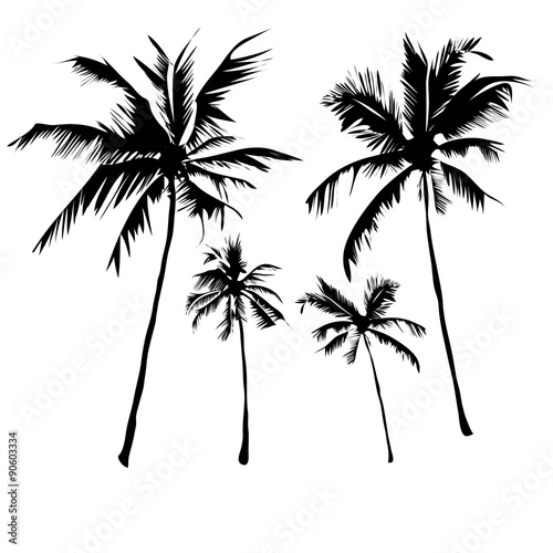  tropical palm trees