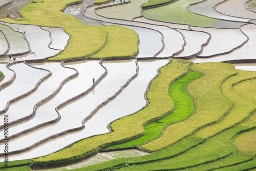 rice terraces field of Mu Cang Chai in Yenbai , Vietnam