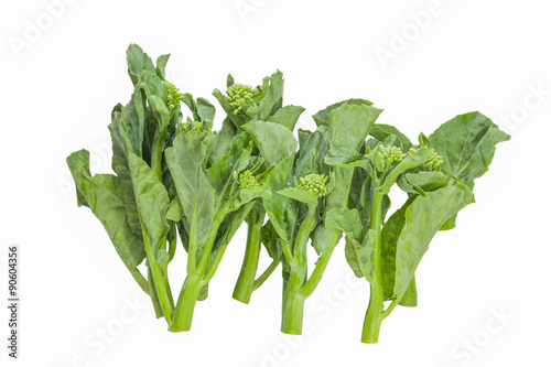 Baby broccoli isolated on white background, Thailand.