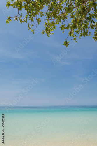 Fototapeta Naklejka Na Ścianę i Meble -  blue sky with beach sea and leaf