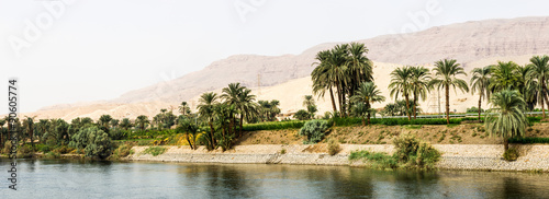 Nile shore in nature