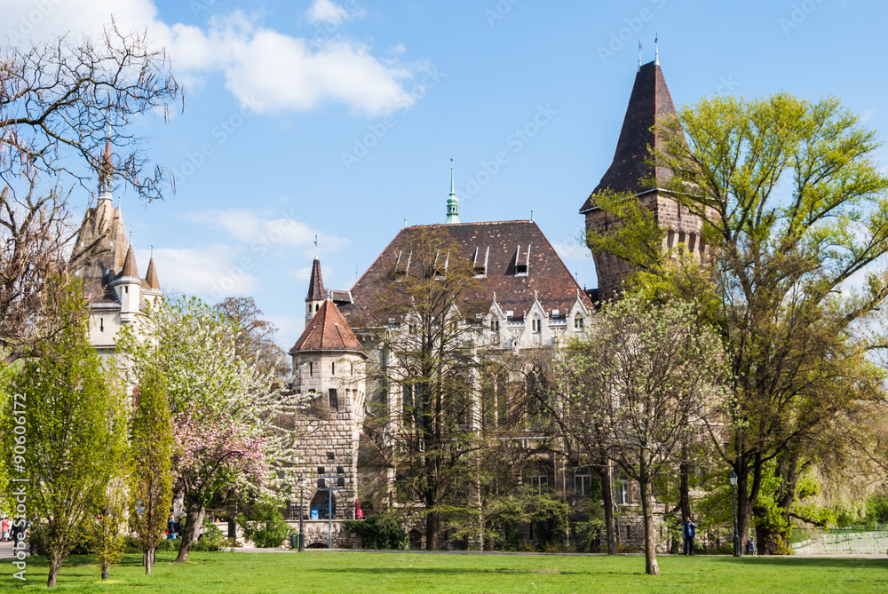 Vajdahunyad Castle Vajdahunyad Castle