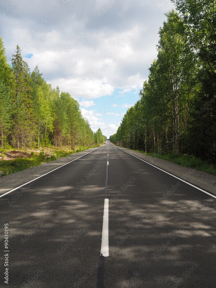 road in the woods