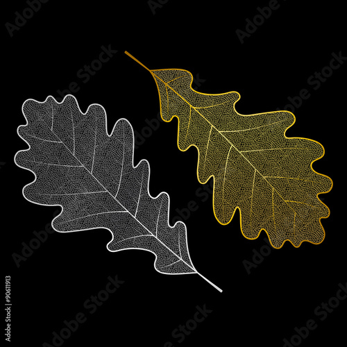 Silver and gold skeleton oak leaves