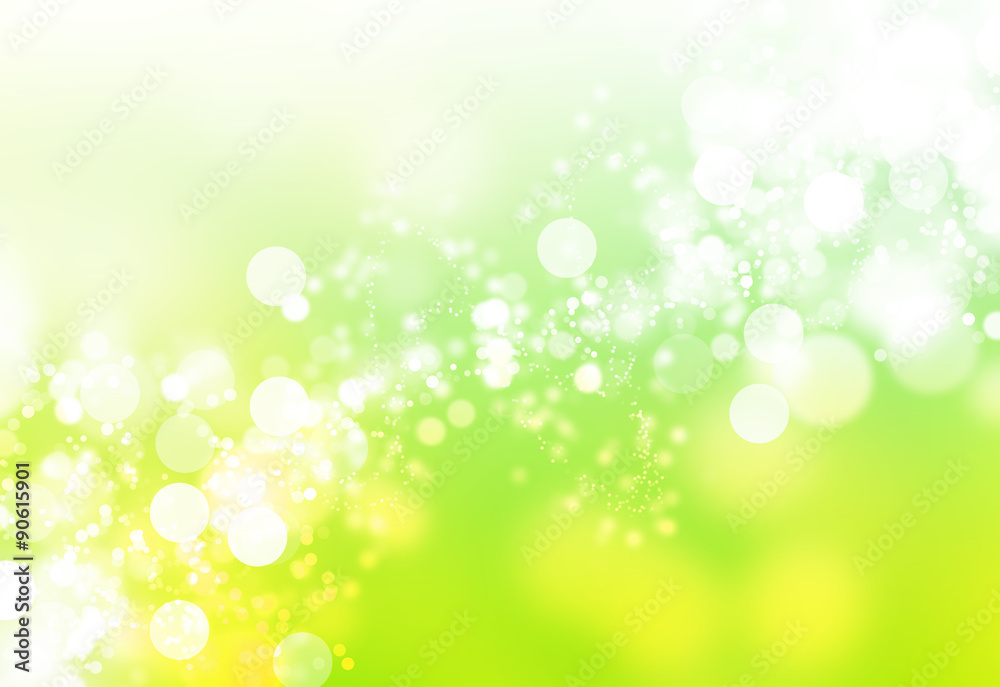 Natural forest bokeh Natural forest bokeh