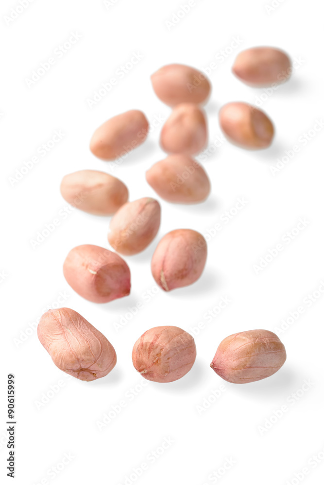 raw peanut kernel on white, (large depth of field, taken with tilt shift lens) raw peanut kernel on white, (large depth of field, taken with tilt shift lens)