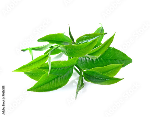 Green tea leaf isolated white background