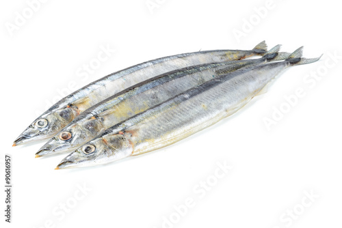 saury fish on white photo