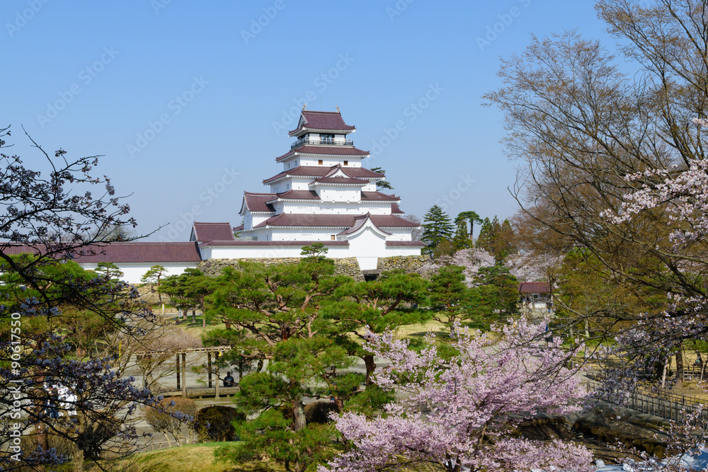 Cherry blossoms at the Tsuruga Castle in Aizuwakamatsu, Fukushima, Japan Cherry blossoms at the Tsuruga Castle in Aizuwakamatsu, Fukushima, Japan